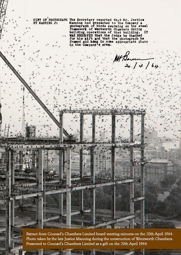 Birds swarming on the steel framework of Wentworth Chambers